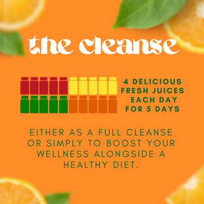 5 Day Juice Cleanse